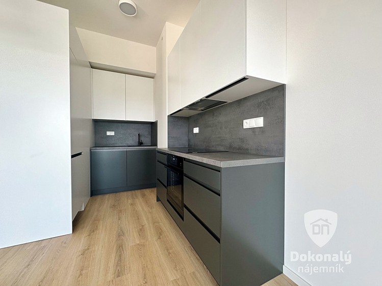 Pronájem bytu 1+kk 37 m² - foto 7
