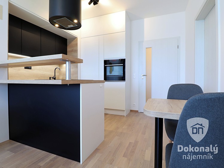 Pronájem bytu 2+kk 49 m² - foto 6