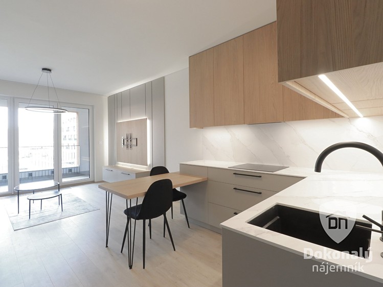 Pronájem bytu 1+kk 39 m² - foto 4