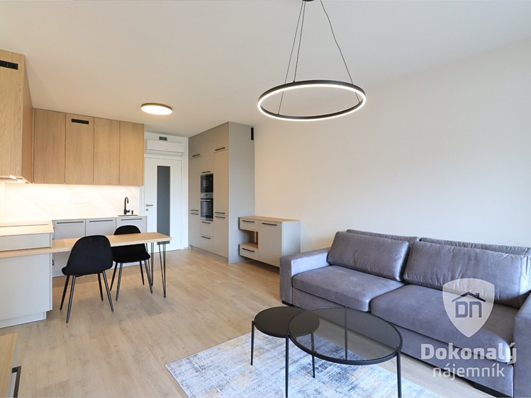Pronájem bytu 1+kk 39 m² - foto 2