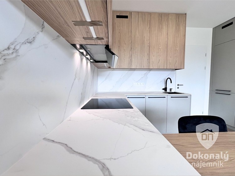 Pronájem bytu 1+kk 39 m² - foto 6