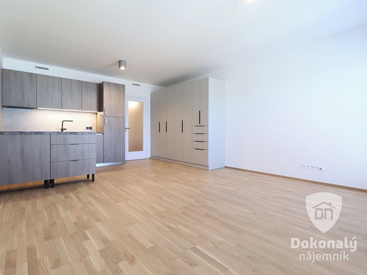 Pronájem bytu 1+kk 36 m² - foto 1