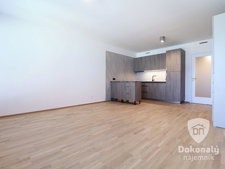 Pronájem bytu 1+kk 36 m² - foto 4