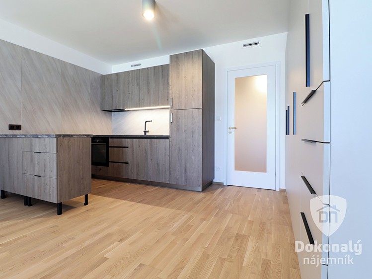 Pronájem bytu 1+kk 36 m² - foto 7