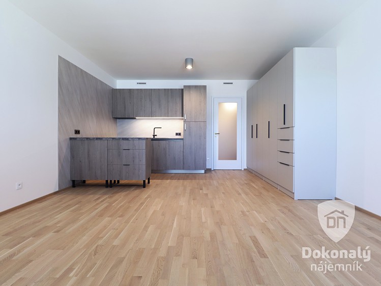 Pronájem bytu 1+kk 36 m² - foto 6