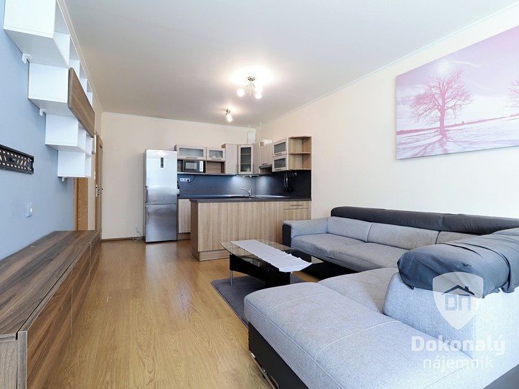 Pronájem bytu 2+kk 54 m² - foto 4