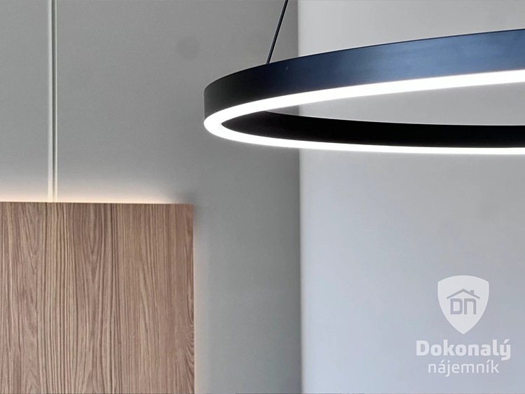 Pronájem bytu 1+kk 35 m² - foto 4