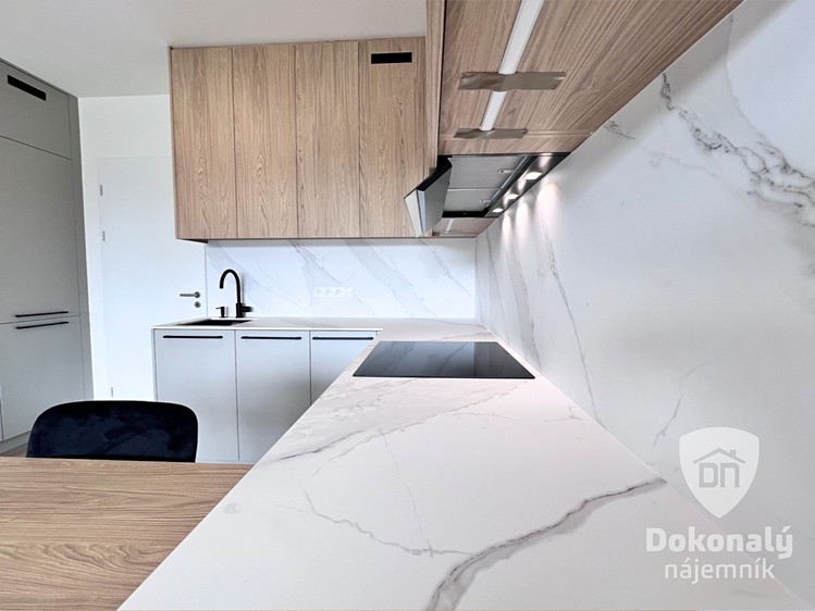 Pronájem bytu 1+kk 35 m² - foto 7