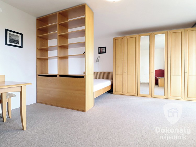 Pronájem bytu 1+1 37 m² - foto 4
