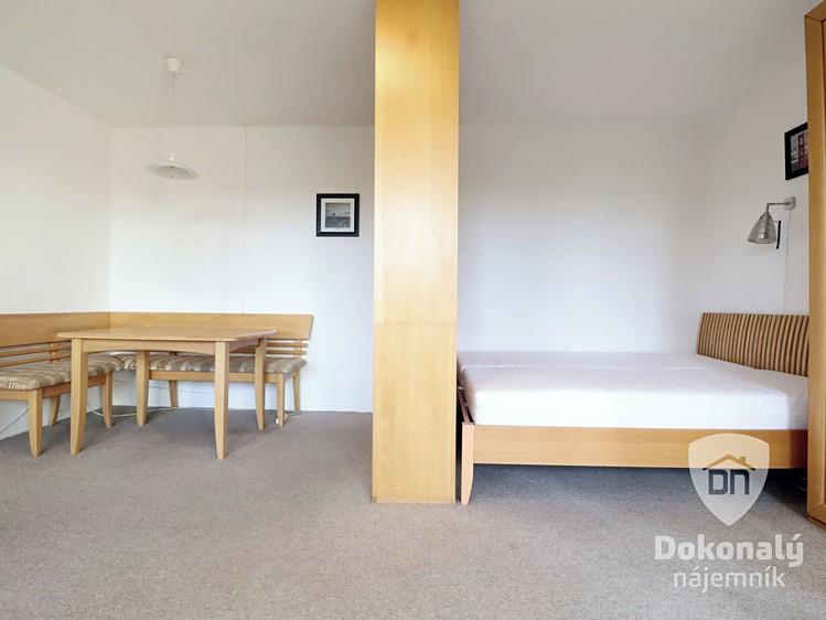 Pronájem bytu 1+1 37 m² - foto 5