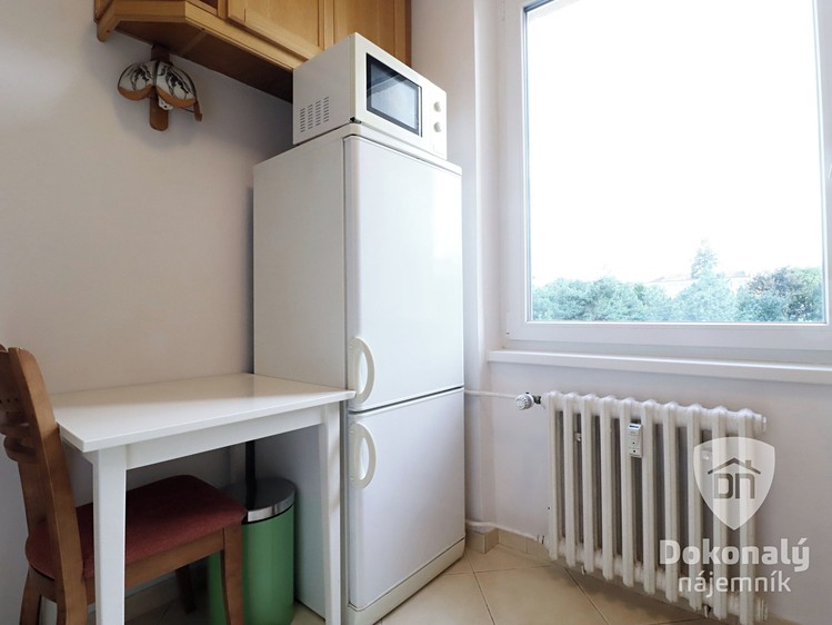 Pronájem bytu 1+1 37 m² - foto 6