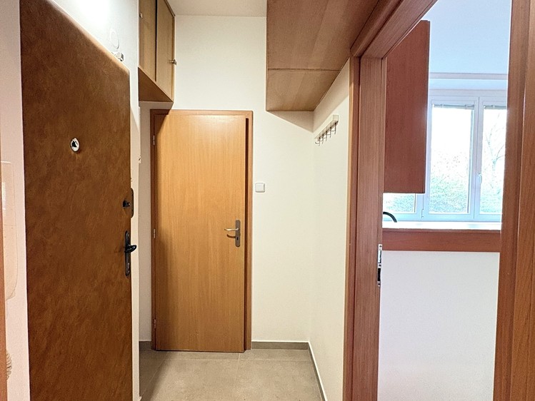 Pronájem bytu 2+kk 41 m² - foto 8