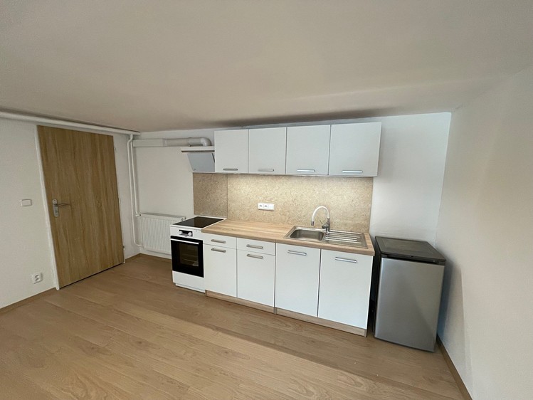 Pronájem bytu 1+kk 47 m² - foto 1