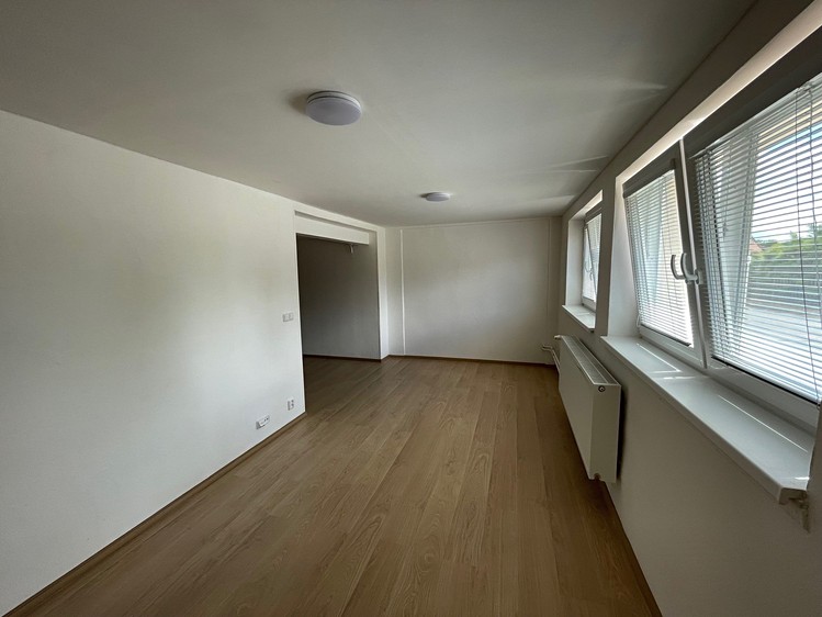 Pronájem bytu 1+kk 47 m² - foto 5