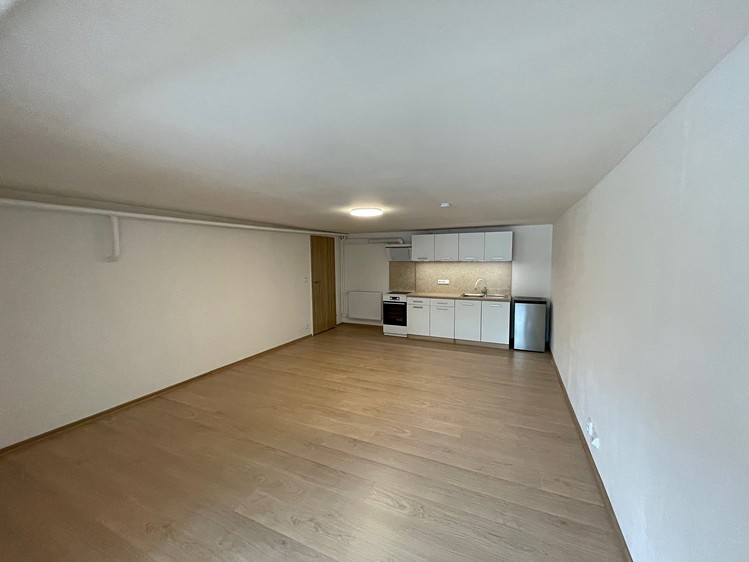 Pronájem bytu 1+kk 47 m² - foto 6