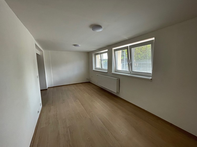Pronájem bytu 1+kk 47 m² - foto 8