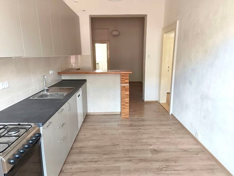 Pronájem bytu 3+1 107 m² - foto 5