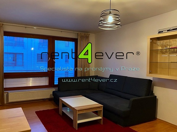 Pronájem bytu 1+kk 33 m² - foto 4
