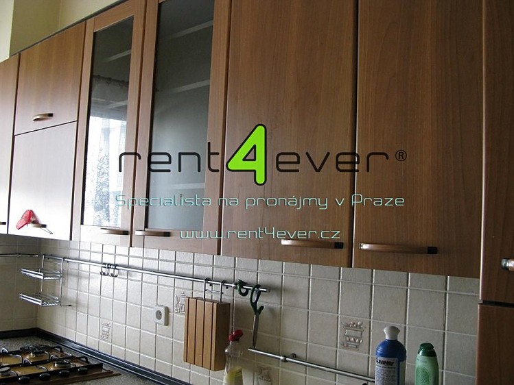 Pronájem bytu 2+1 68 m² - foto 4
