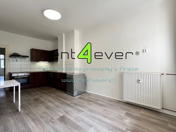 Pronájem bytu 1+1 56 m² - foto 1