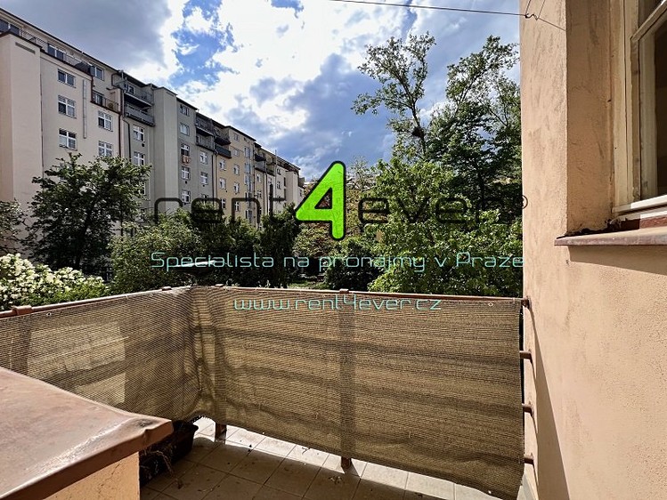 Pronájem bytu 1+1 56 m² - foto 3