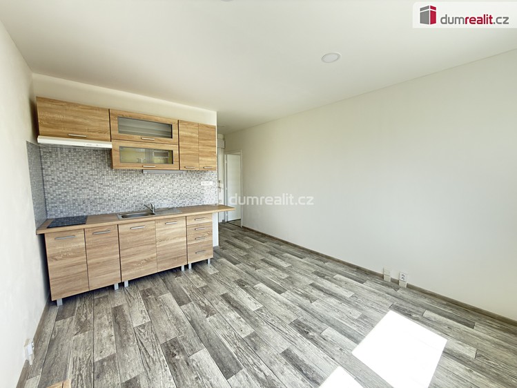 Pronájem bytu 1+1 40 m² - foto 1