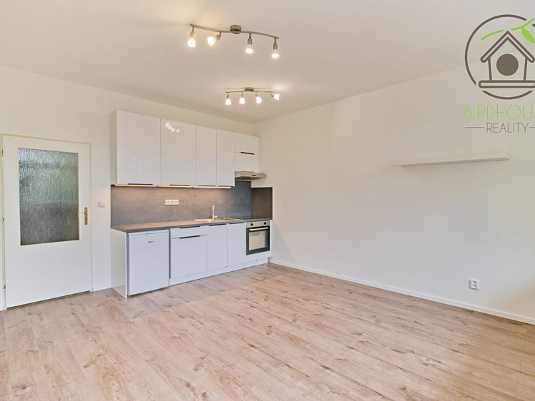 Pronájem bytu 1+kk 40 m² - foto 3