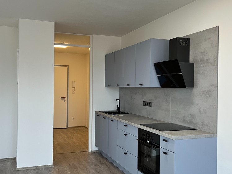 Pronájem bytu 1+kk 40 m² (Jednopodlažní) - foto 1