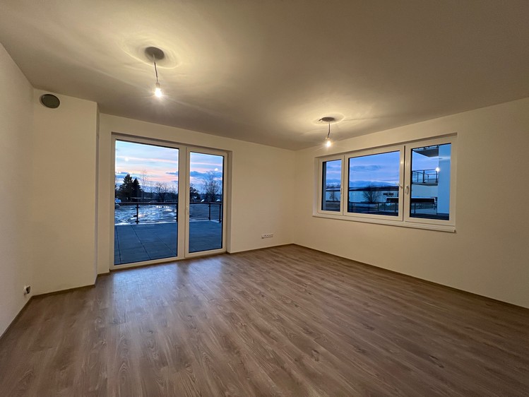 Pronájem bytu 1+kk 40 m² (Jednopodlažní) - foto 8