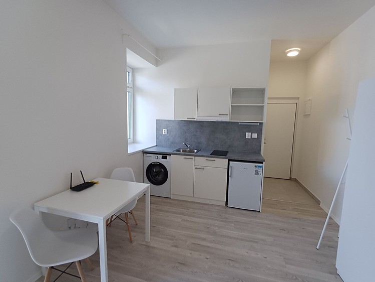 Pronájem bytu 1+kk 44 m² - foto 3