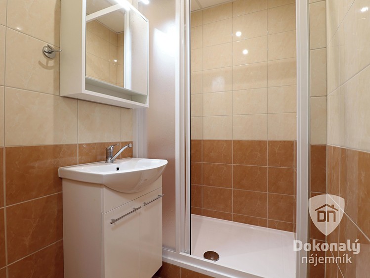 Pronájem bytu 2+kk 43 m² - foto 8