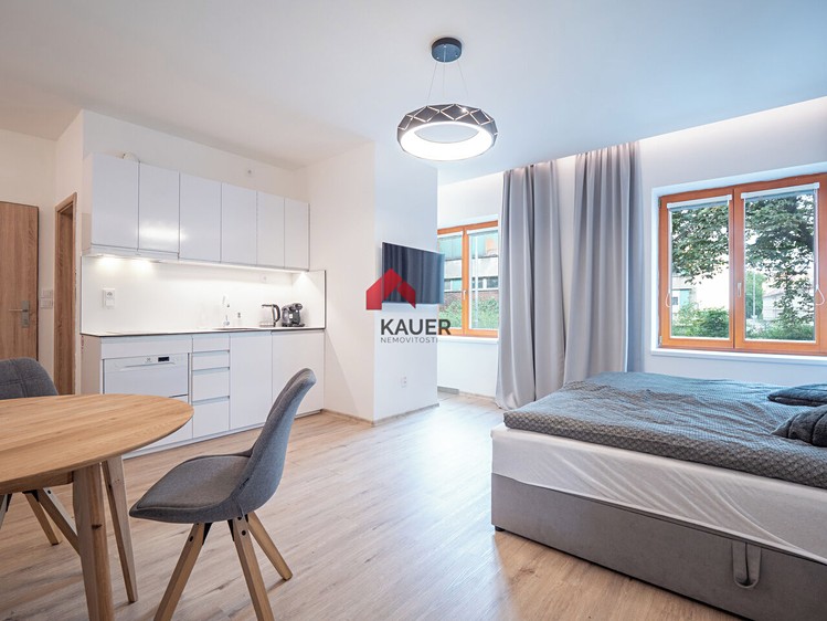Pronájem bytu 1+kk 29 m² - foto 1