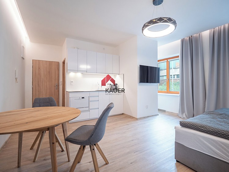 Pronájem bytu 1+kk 29 m² - foto 4