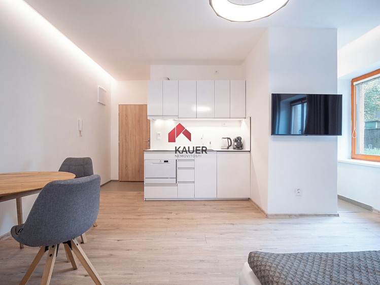 Pronájem bytu 1+kk 29 m² - foto 6