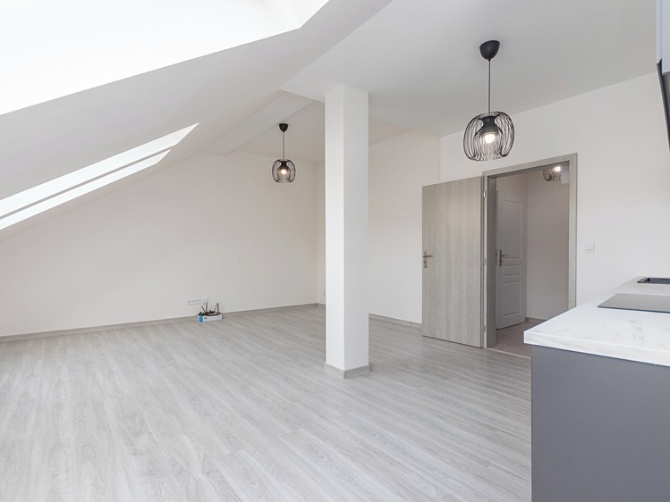 Pronájem bytu 1+kk 49 m² - foto 4