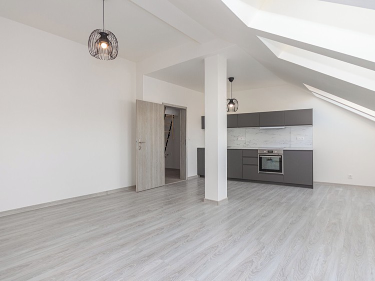 Pronájem bytu 1+kk 49 m² - foto 2