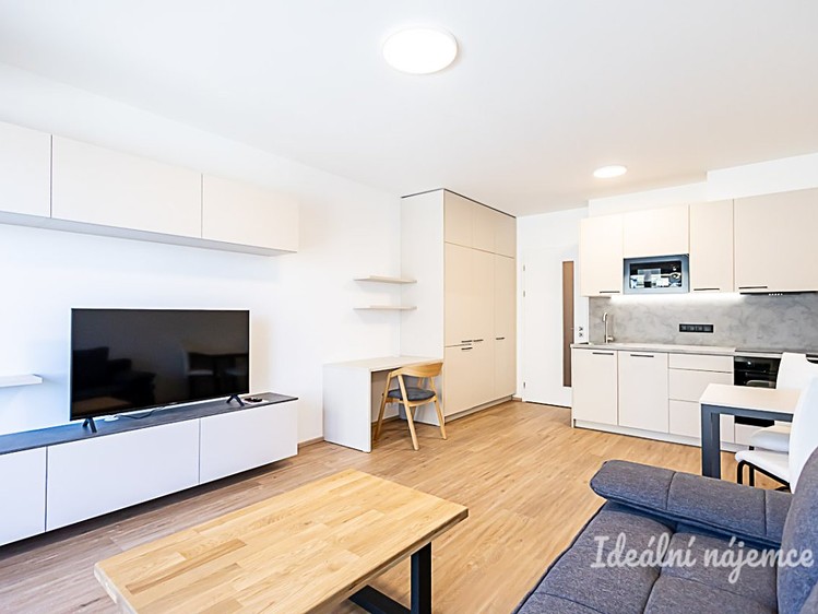 Pronájem bytu 1+kk 35 m² - foto 7