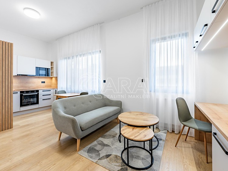 Pronájem bytu 1+kk 35 m² (Jednopodlažní) - foto 1
