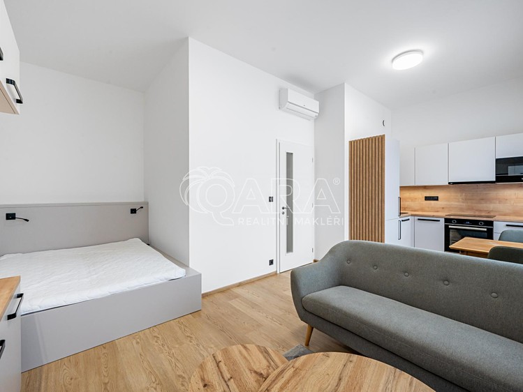 Pronájem bytu 1+kk 35 m² (Jednopodlažní) - foto 4