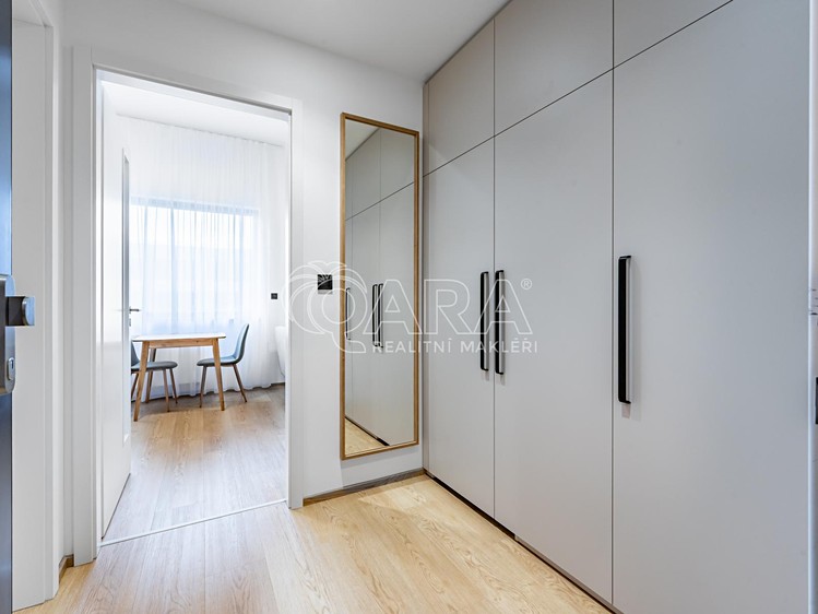 Pronájem bytu 1+kk 35 m² (Jednopodlažní) - foto 8