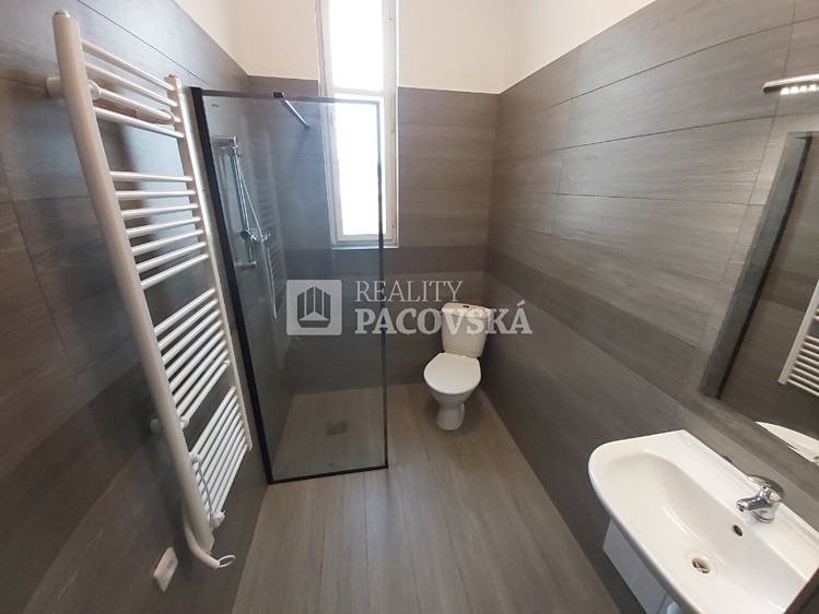 Pronájem bytu 1+kk 25 m² - foto 5