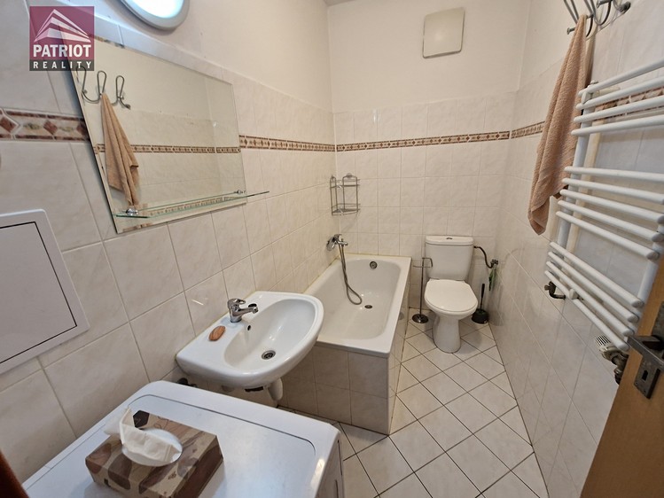 Pronájem bytu 1+kk 27 m² (Jednopodlažní) - foto 4