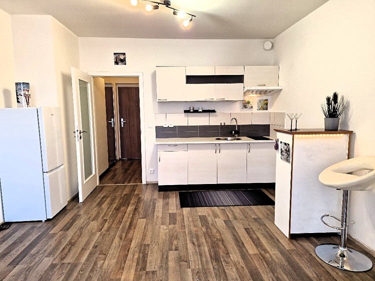 Pronájem bytu 1+kk 29 m² (Jednopodlažní) - foto 1