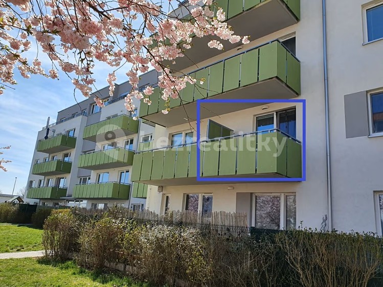 Pronájem bytu 1+kk 29 m² (Jednopodlažní) - foto 2