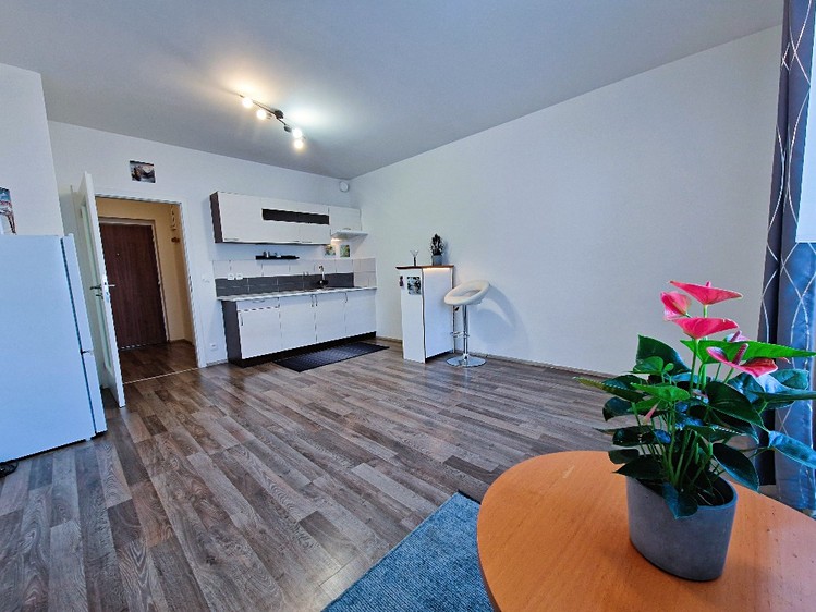 Pronájem bytu 1+kk 29 m² (Jednopodlažní) - foto 3