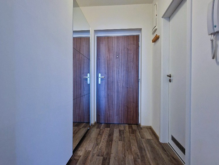 Pronájem bytu 1+kk 29 m² (Jednopodlažní) - foto 7