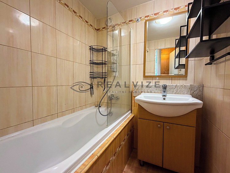 Pronájem bytu 5+1 67 m² (Jednopodlažní) - foto 3