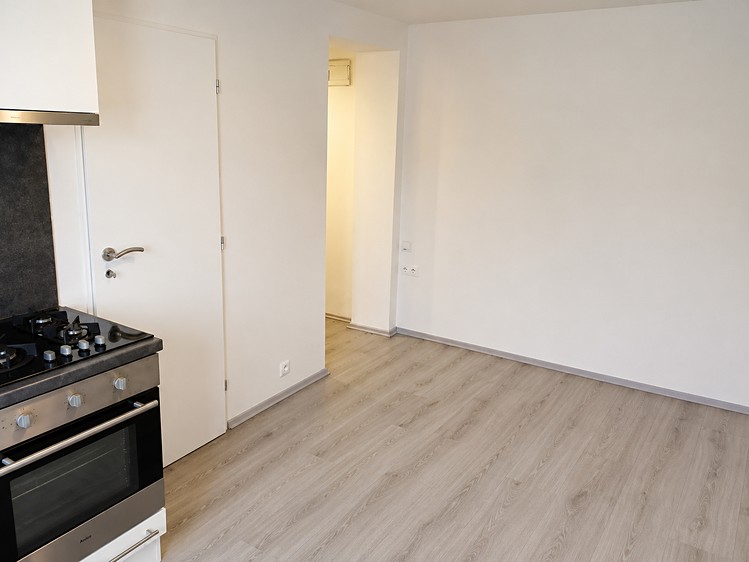 Pronájem bytu 1+kk 23 m² (Jednopodlažní) - foto 3