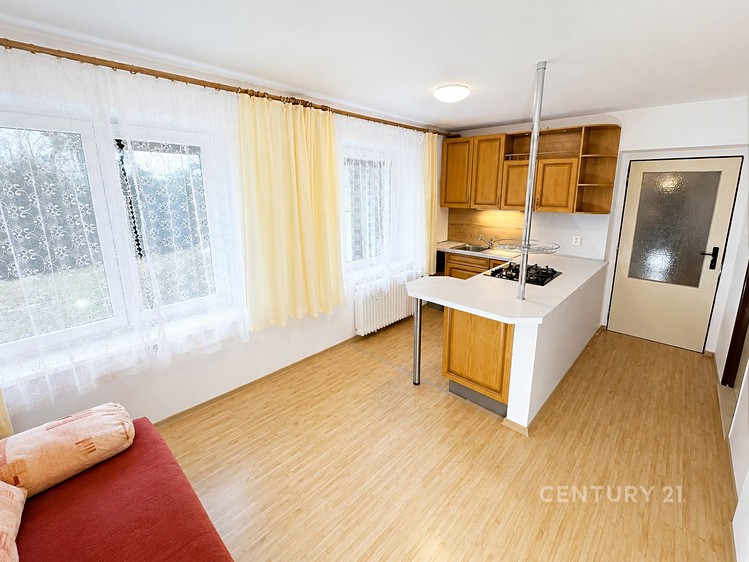 Pronájem bytu 2+kk 46 m² - foto 2