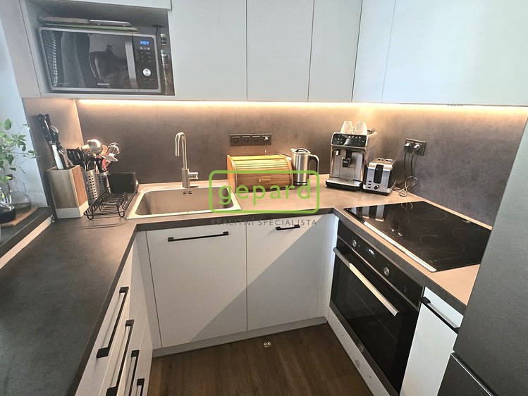 Pronájem bytu 3+kk 55 m² - foto 1